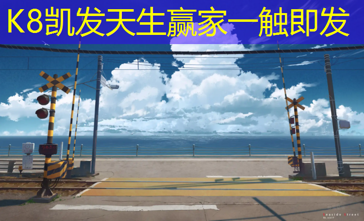 K8凯发中国官方网站：海宁学校塑胶跑道价格
