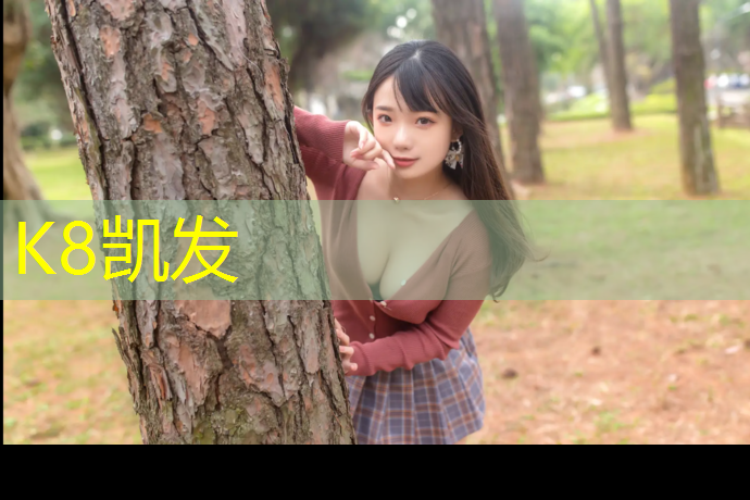 k8凯发官网入口：塑胶跑道场地要求