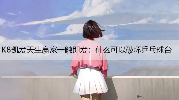 什么可以破坏乒乓球台