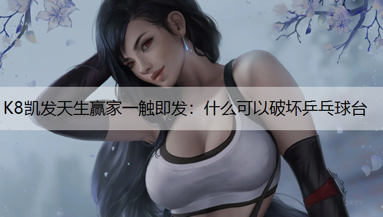 什么可以破坏乒乓球台