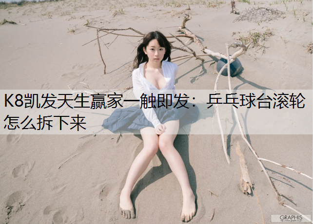 乒乓球台滚轮怎么拆下来