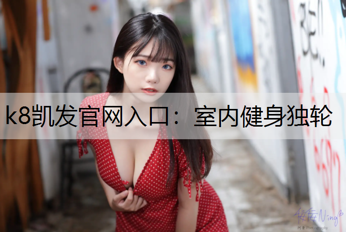 室内健身独轮
