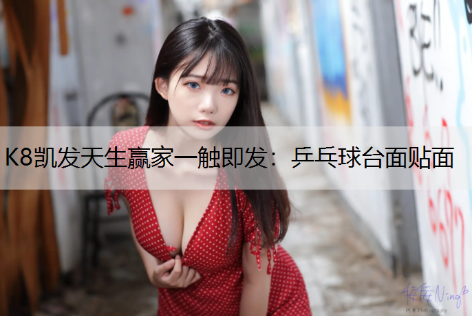 乒乓球台面贴面