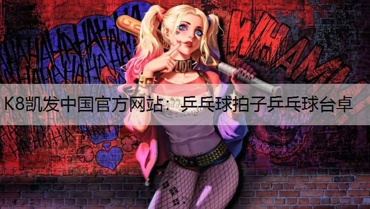 乒乓球拍子乒乓球台卓