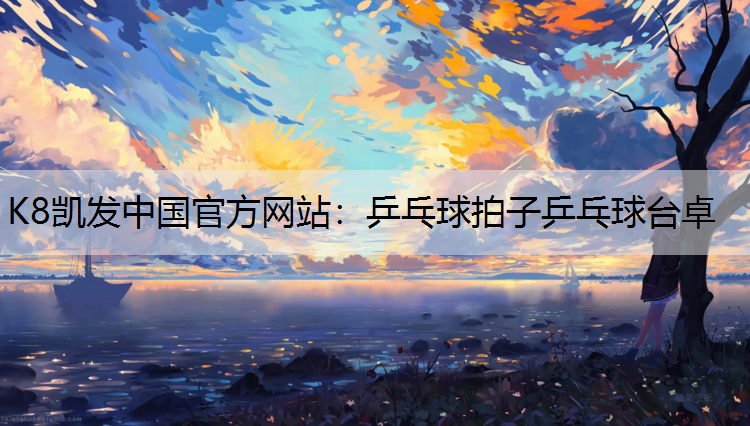 乒乓球拍子乒乓球台卓