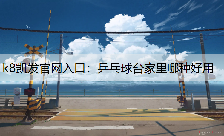 乒乓球台家里哪种好用
